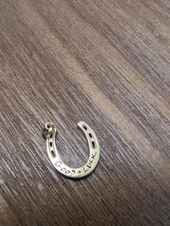 Catbird Jewelry - 14k Gold Catbird Horseshoe Charm - Good Luck